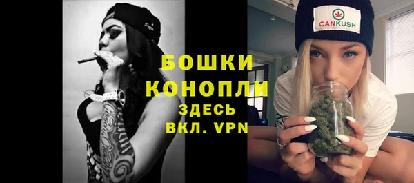 spice Ельня