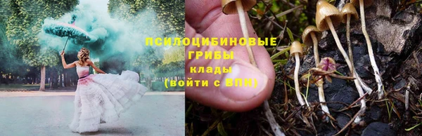 дурь Балахна
