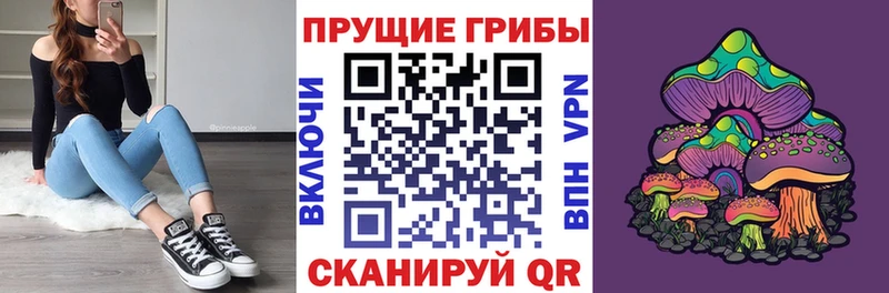 Псилоцибиновые грибы мухоморы Зеленоградск